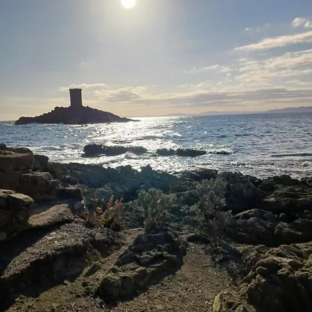 アパート 2 Pers Au Calme A Boulouris Saint-Raphaël